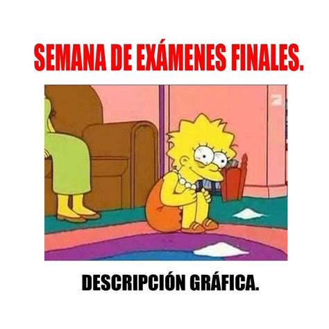 examenes finales spanish memes book nooks  simpsons book nerd