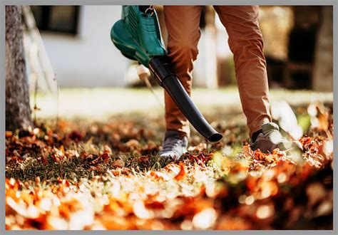 spring fall cleanup company serving brookfield sussex  butler