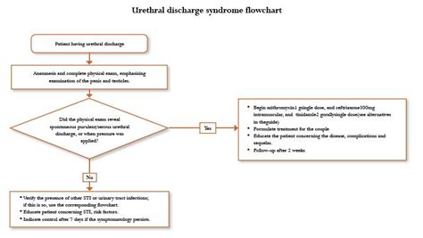 clinical practice guideline for syndromic management of patients with