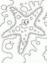 Rozgwiazda Kolorowanka Starfish Coloring sketch template