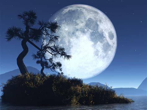 full moon   phases  wondrous natural sight