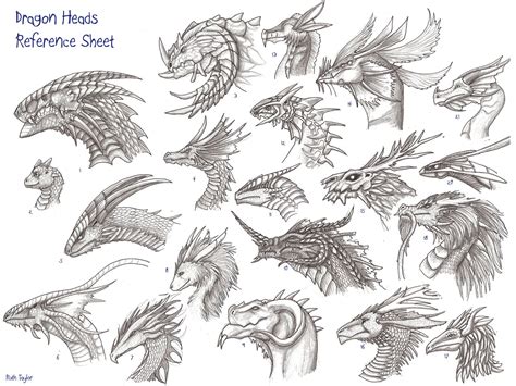 dragon heads reference sheet dragon head drawing dragon sketch