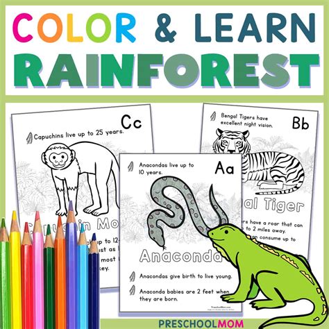rainforest coloring pages preschool mom