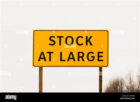 stock  large stock photo alamy