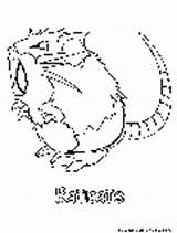 Raticate Pokemon Normal Coloring Pages sketch template
