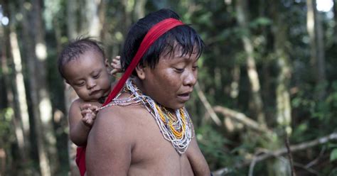 The Yanomami People And The Rise Of Ultra Processed Food