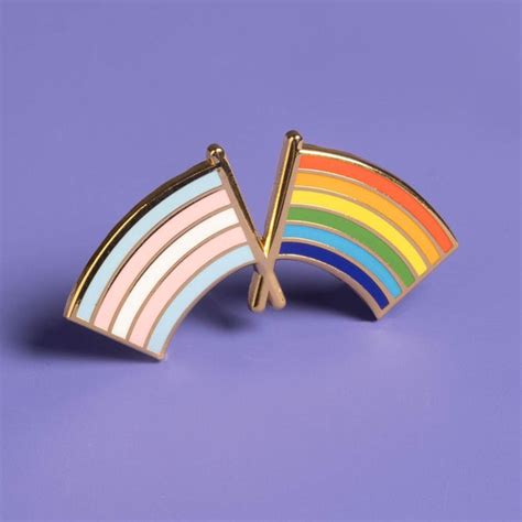 Trans And Lgbtq Pride Flag Combo Pin Dissent Pins
