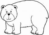 Mewarnai Beruang Belajar Hewan Binatang Sketsa Lucu Warnaigambartk Kelinci Kalian Berikut Dari sketch template
