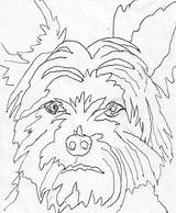 Yorkie Coloring Pages Puppy Printable Color Getcolorings Getdrawings Line Drawing Print sketch template