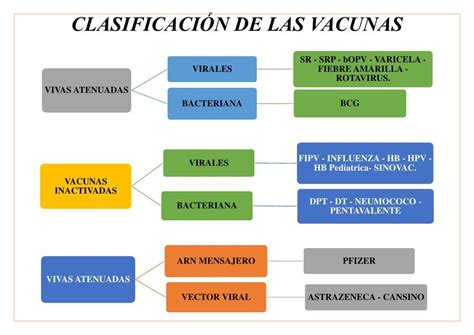 clasificacion de las vacunas erika taipe farias udocz