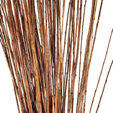 decorative branches straight willow branches natural
