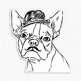 Boston Terrier Coloring Pages Printable Coloringhome Via sketch template