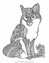 Fox Coloring Pages Adult Animal Printable Animals Terry Print Adults Coloringgarden Sheets Color Book Wolf Outline Cat Description sketch template