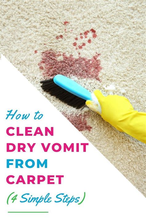 clean dry vomit  carpet  simple steps carpet cleaning
