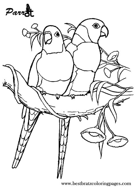 printable parrot coloring pages  kids bird coloring pages