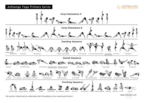 ashtanga primary series chart ashtanga yoga  ryan spielman