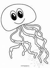 Jellyfish Clipart Coloring sketch template