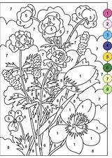 Zahlen Nach Books Flores Erwachsene Blumen Nicole Numeros Stylowi Kinder Swojej Dodaj Zara sketch template