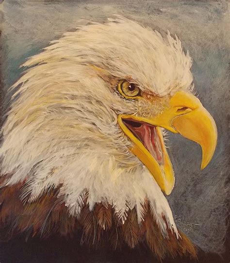 eagle head pencil kim pearce paintings drawings