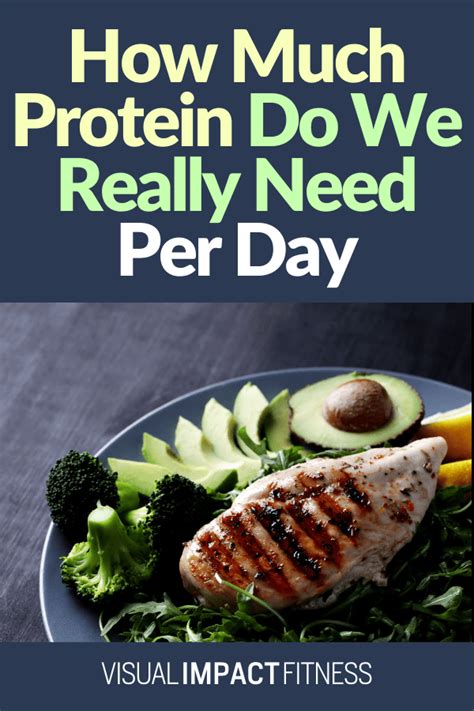 How Much Protein Do We Really Need Per Day