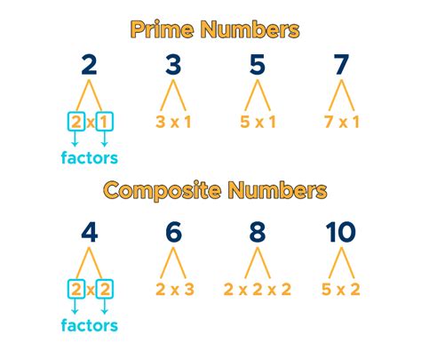 prime numbers factorization factor tree curvebreakers