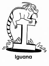 Iguana Reptiles Lately Kunjungi sketch template