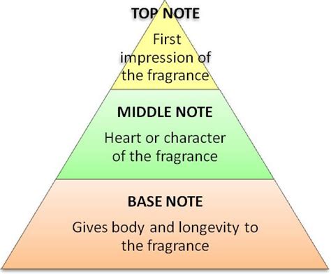 top middle  base notes  perfumery karen gilbert