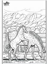 Coloring Horse Pages Racing Race Jockey Getcolorings Print Printable Color Getdrawings Silks sketch template