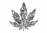 Leaf Weed Pot Marijuana Drawings Drawing Tattoo Easy Trippy Cannabis Stencil Tattoos Tribal Plant Stoner Designs Sketch Clipart Coloring Simple sketch template