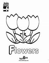 May Flowers Coloring Showers Bring April Color Sheets Pages Tulip Kids Preschool Printable Sheet Enjoy Usa Getcolorings Patch Flower sketch template