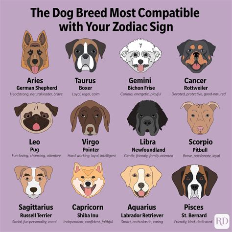 dog breed   compatible   zodiac sign