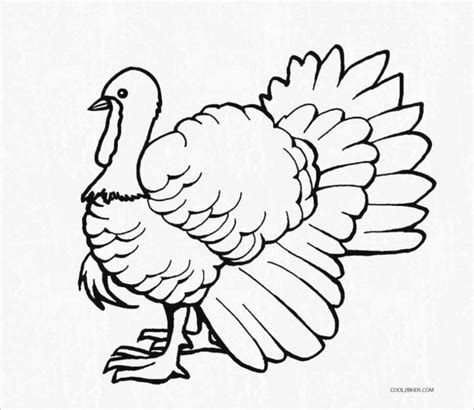 coloring  turkey unique  coloring pages birds collection coloring
