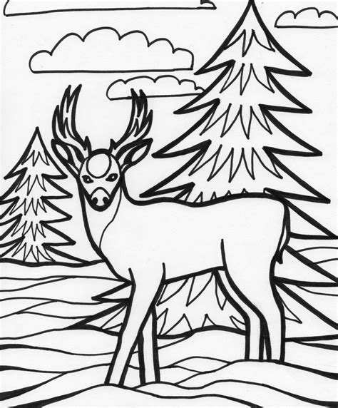 coloring pages  deer  mackenzie  printables