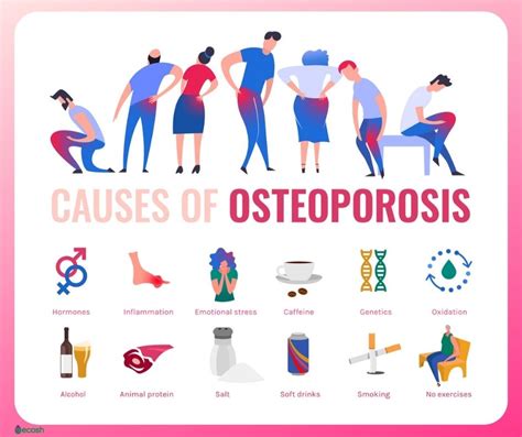 osteoporosis symptoms causes risk groups prevention and treatment