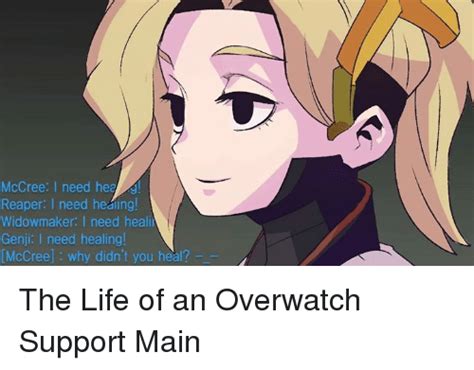 🔥 25 Best Memes About Support Main Support Main Memes