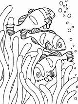 Coloring Fish Pages Clown School Sea Anemone Ray Fishes Loaves Color Printable Coral Tank Drawing Colouring Getcolorings Getdrawings Colorings sketch template