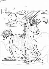 Licorne Unicorni Licornes Coloriage Unicorns Adulti 1255 Speeding Coloriages Adults Malbuch Erwachsene Envole Magnifique Créature Toute Vitesse Cette Magnificent Beast sketch template