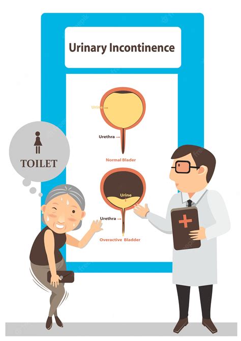 premium vector urinary incontinence illustration