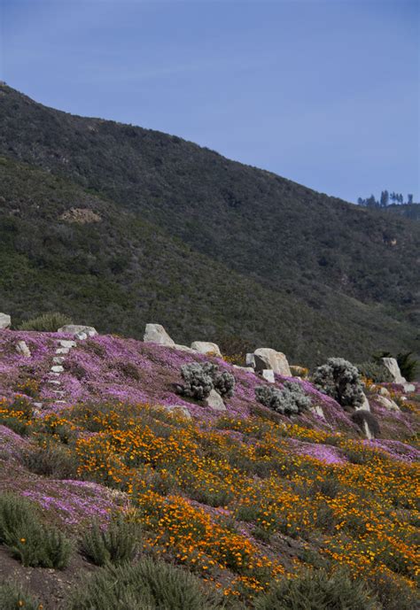 la cote photo  image north america united states california images fotocommunity