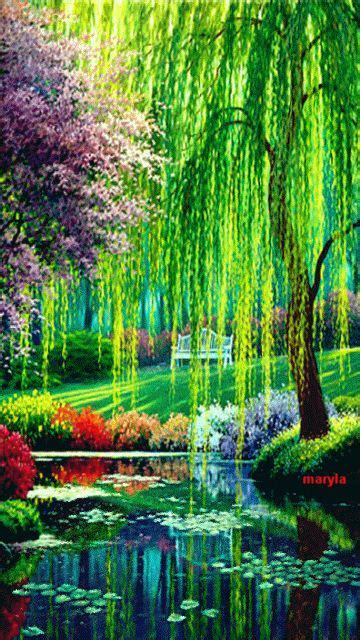 Weeping Willow By The Pond Tree Photography Nature