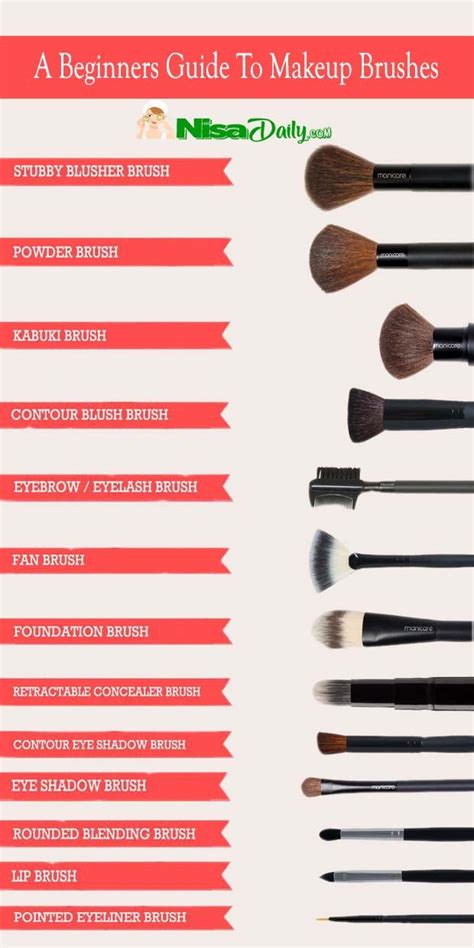 a beginners guide to makeup brushes makeup brushes guide for beginners