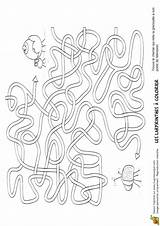 Coloriage Grenouille Labyrinthe Imprimer sketch template