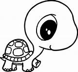 Turtle Coloring Pages Tortoise Small Drawing Baby Big Sea Head Body Eyes Cute Printable Sheets Animal Kids Print Girl Ninja sketch template