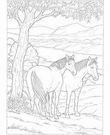 Coloring Horse Pages Educational Friendly Printable Choose Board Horses Dover Doverpublications Publications sketch template