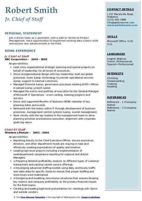 chief resume