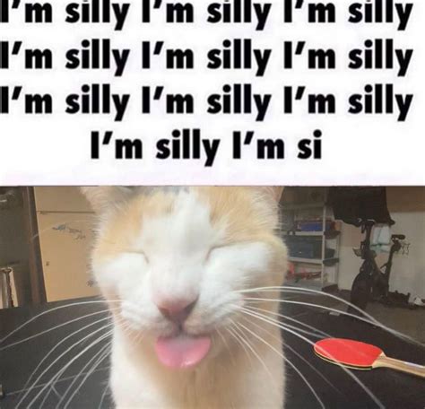 im silly  silly cats   meme