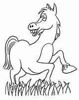 Cartoon Tegninger Hest Pferd Tegnet Cavalli Lustiges Supercoloring Ausdrucken Gemt sketch template
