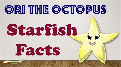 starfish facts youtube
