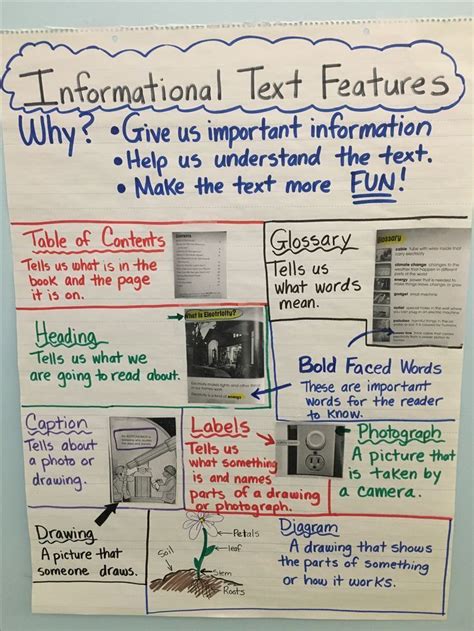 anchor chart text features
