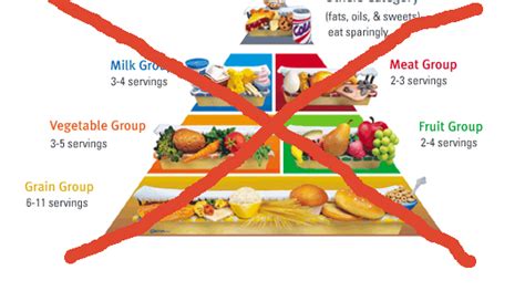 food pyramid fallacies whats wrong   food pyramid guidelines
